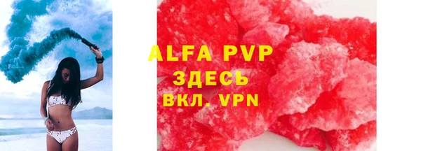ПСИЛОЦИБИНОВЫЕ ГРИБЫ Карпинск