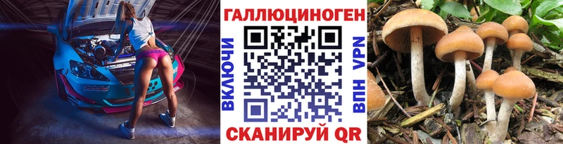 Галлюциногенные грибы Psilocybine cubensis  Купить закладки  Обь 